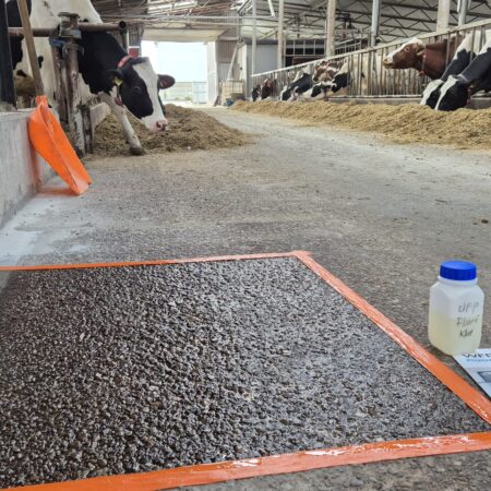 WFP Floor Coating 1K bornit.testujemy.ovh Silna marka w budownictwie